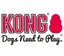 Buy Kong in Marietta, GA from Bark Street Petopia Kong Marietta Georgia